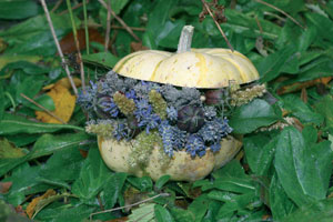 herfst pompoen ansichtkaart