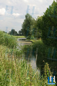 water groen alm