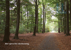 Met tekst: Met oprechte deelneming