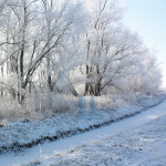 Kerst - 110-6