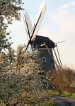 De Vrijheid Beesd - 019-4 - Poster