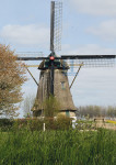 Zuidhollandse molen Hank - 019-6 - Poster