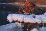 Winter XL - 200-4