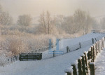 Winter 002-1