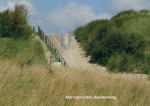 Duinen - 402-5