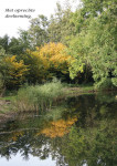 Spiegelherfst - 402-9