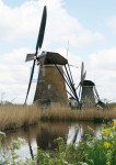 Molens Kinderdijk - 450-6