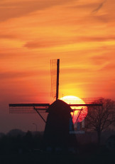 Doornse Molen - 018-1 - Poster