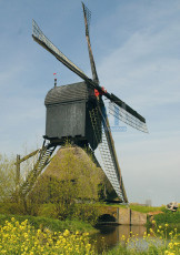 Zandwijkse Molen - 018-2 - Poster