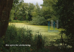 Groen doorkijkje - 400-8