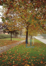 Herfst - 001-4