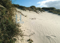 Bos en Duin - 006-2