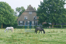 Andel - 020-4