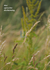 Grasspriet - 401-3