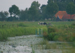 De Boerderij - 013-3