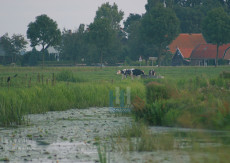 De Boerderij - 013-3