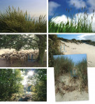 Bos en Duin 006 - Complete serie 
