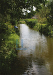De Alm - 011-1