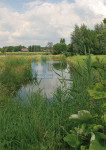 De Alm - 011-2
