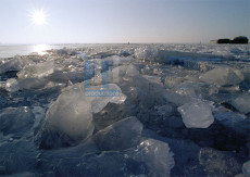 Winter XL - 200-1