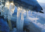 Winter XL - 200-2