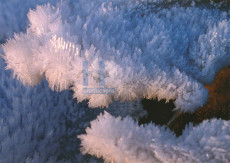 Winter XL - 200-3