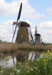 Molens aan het water in Kinderdijk - Poster