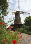 Molen Zeldenrust, Hooge Zwaluwe - 019-8