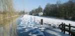 Winter - 100-1