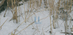 Winter - 100-2