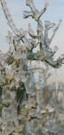 Winter - 100-4