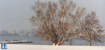Winter - 100-5